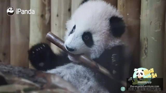 自动驾驶法,律规范即将,实施,澳门金沙娱乐城App官网,澳门金沙娱乐城App下载,澳门金沙娱乐城App登录,澳门金沙娱乐城App平台